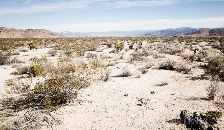 BackPackJTree03__0005