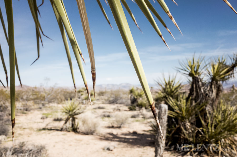 BackPackJTree03__0009