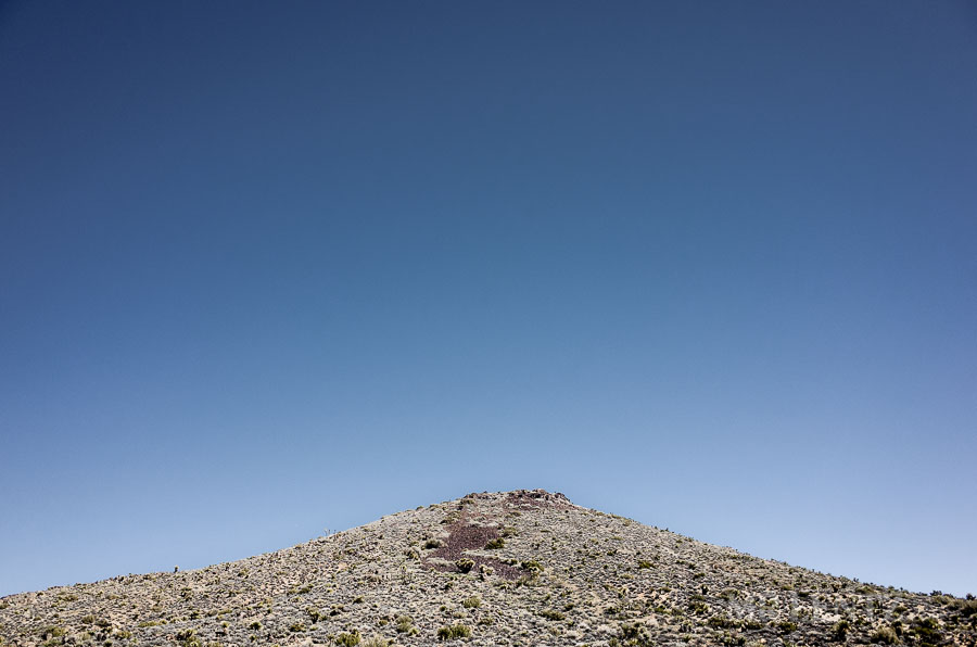 BackPackJTree03__0045