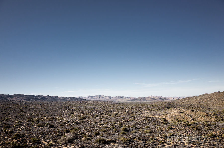 BackPackJTree03__0048