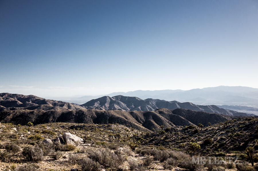 BackPackJTree03__0052