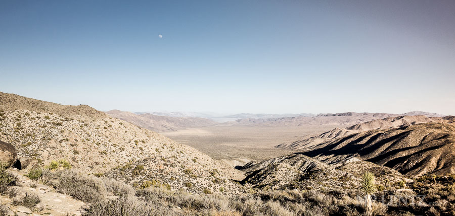 BackPackJTree03__0054