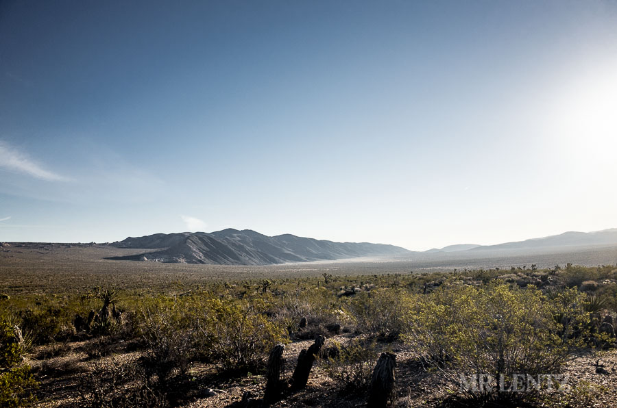 BackPackJTree03__0057