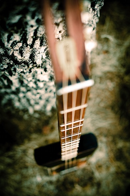 CigarBoxGuitar01_0008.jpg