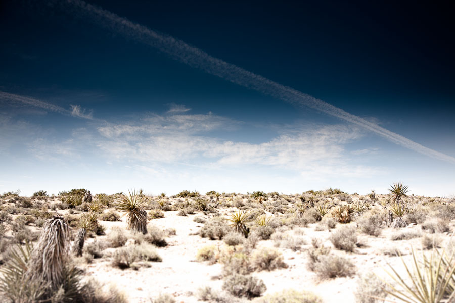joshua-tree-wilderness_0100