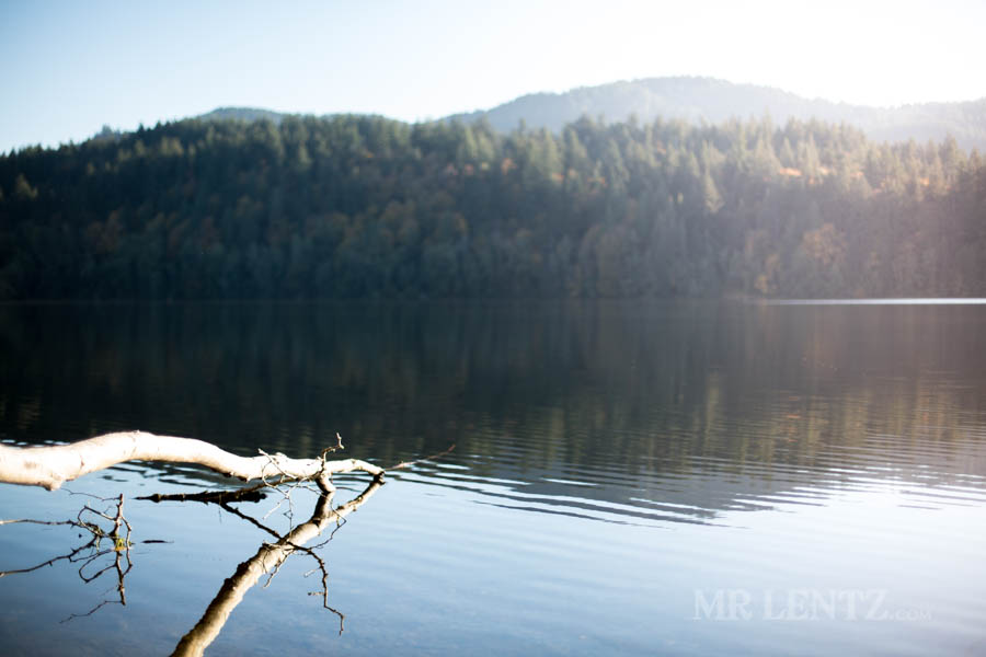still lake at sunset in the forest