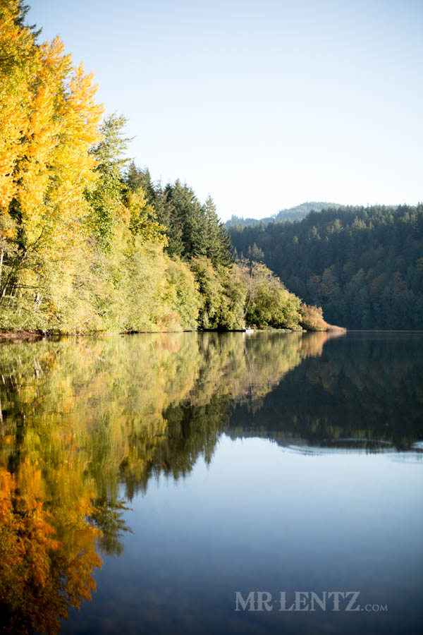 fall leaves color changing