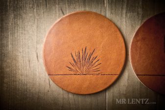 cactus aloe plant on coaster