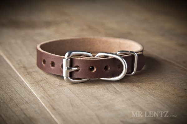 leather dog collar for small dogs