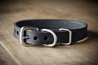 leather dog collar for small dogs