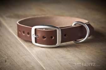 leather dog collar for medium dogs