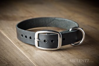 leather dog collar for medium dogs