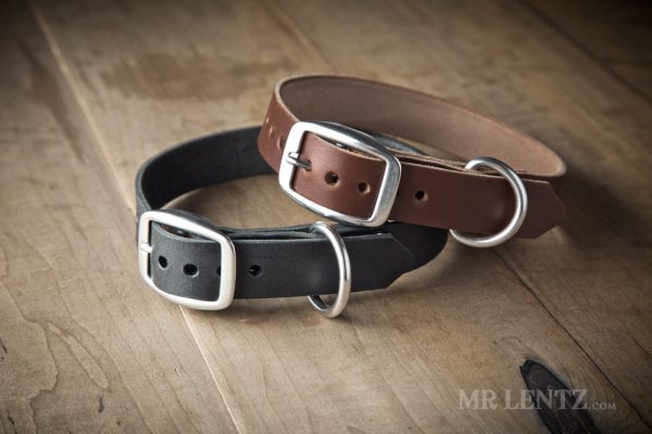 leather dog collar for medium dogs