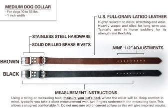 leather dog collar for medium dogs