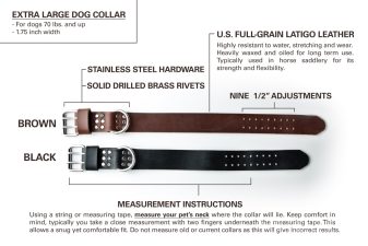 large leather dog collar for strong dogs