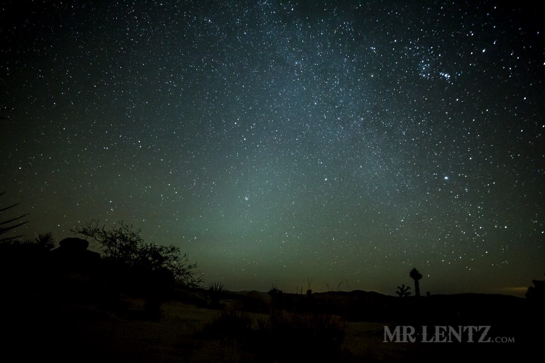 stars in the desert night sky
