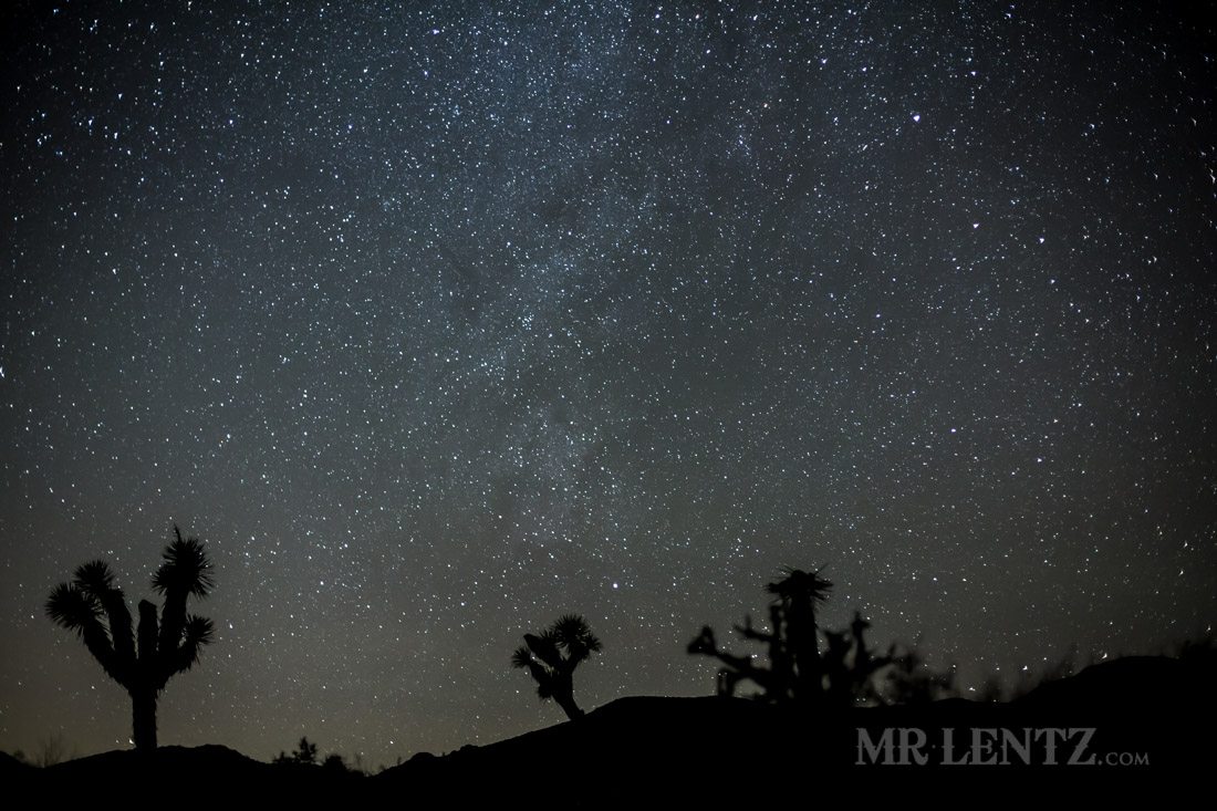 desert silouette night shot