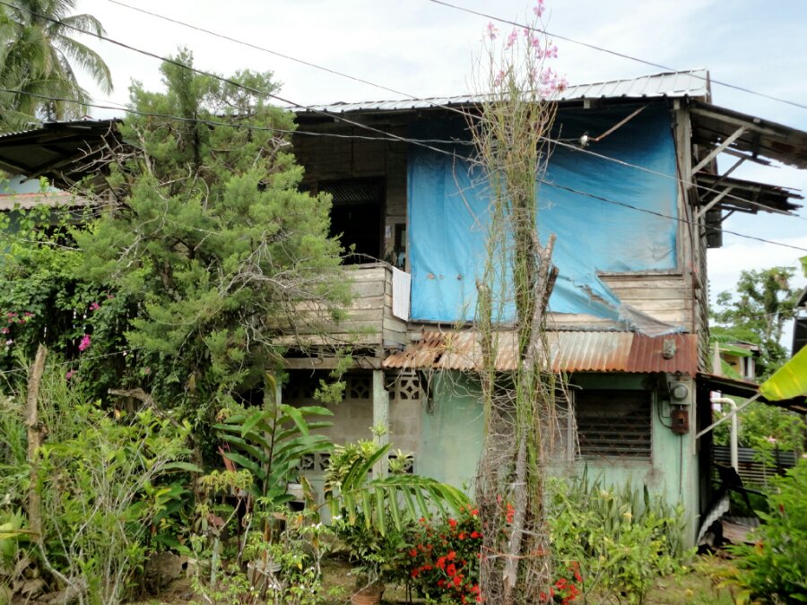 FX_1345313259001.jpg image