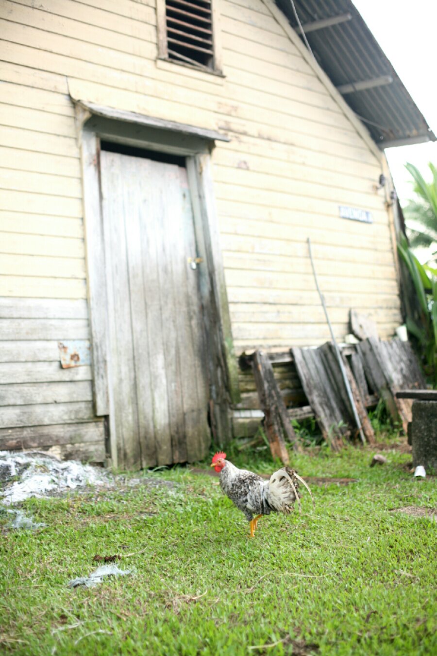 FX_1345347307049.jpg image